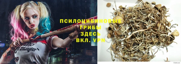 бошки Заволжье