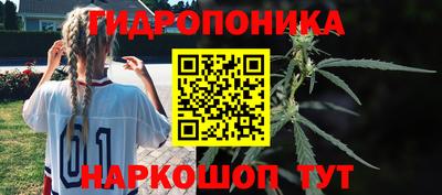 молекула духа Гудермес