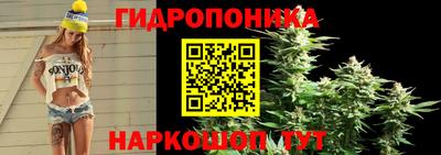 jwh Балаково