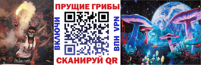 Купить где Киржач Галлюциногенные грибы GOLDEN TEACHER